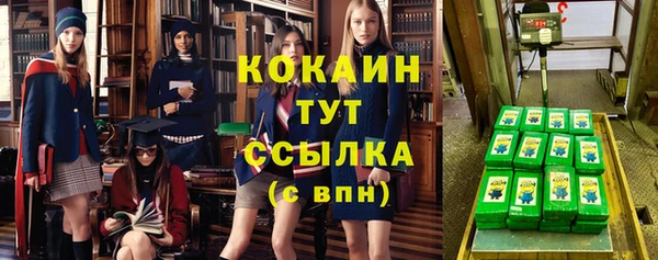 соль ск Липки