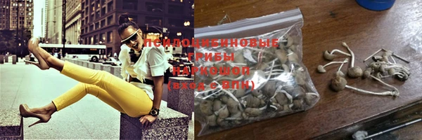 шишки Лихославль