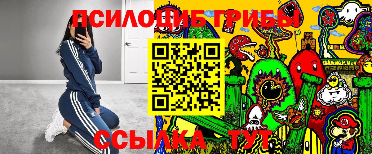 Псилоцибиновые грибы Psilocybine cubensis  магазин продажи   Галлюциногенные грибы мухоморы  Томск 