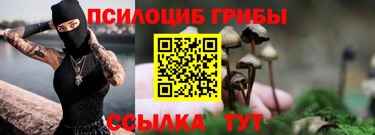 Галлюциногенные грибы Cubensis Томск